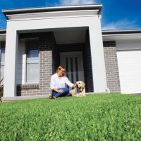 Lawn Topdressing & Fertilization